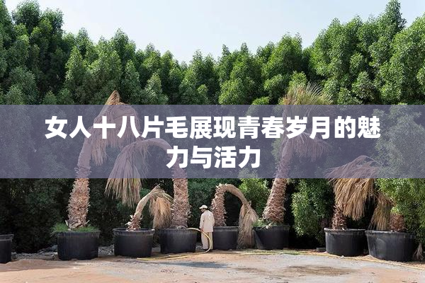 女人十八片毛展现青春岁月的魅力与活力