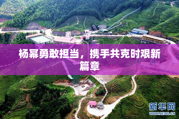 杨幂勇敢担当，携手共克时艰新篇章