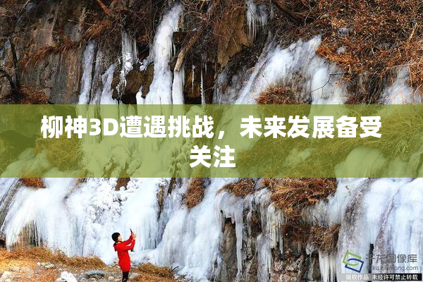 柳神3D遭遇挑战，未来发展备受关注