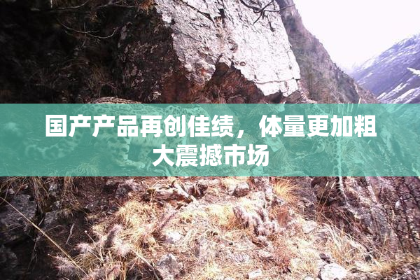国产产品再创佳绩，体量更加粗大震撼市场