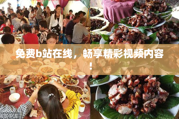 免费b站在线，畅享精彩视频内容！