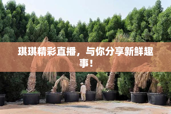 琪琪精彩直播，与你分享新鲜趣事！