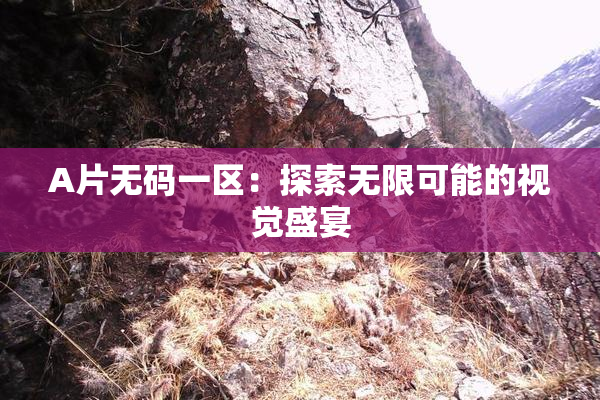 A片无码一区：探索无限可能的视觉盛宴
