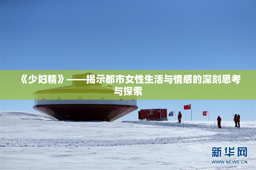 《少妇精》——揭示都市女性生活与情感的深刻思考与探索
