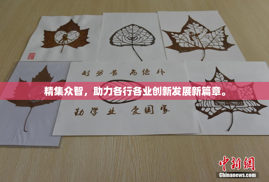 精集众智，助力各行各业创新发展新篇章。