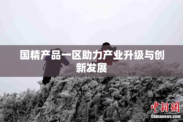 国精产品一区助力产业升级与创新发展