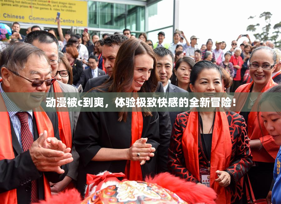 动漫被c到爽，体验极致快感的全新冒险！