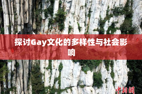 探讨Gay文化的多样性与社会影响