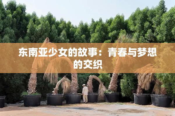 东南亚少女的故事：青春与梦想的交织