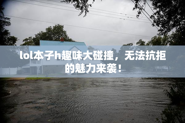 lol本子h趣味大碰撞，无法抗拒的魅力来袭！