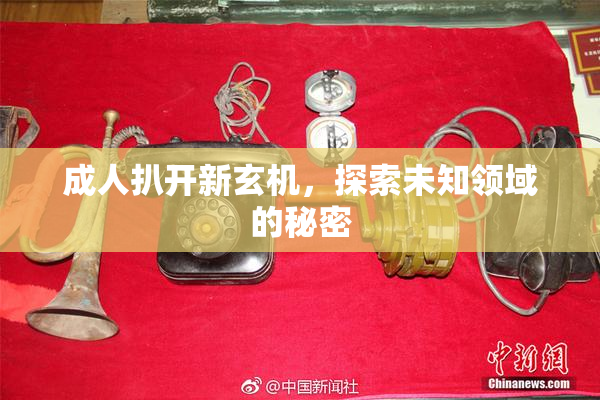 成人扒开新玄机，探索未知领域的秘密