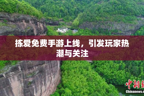 拣爱免费手游上线，引发玩家热潮与关注