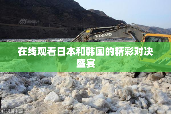 在线观看日本和韩国的精彩对决盛宴