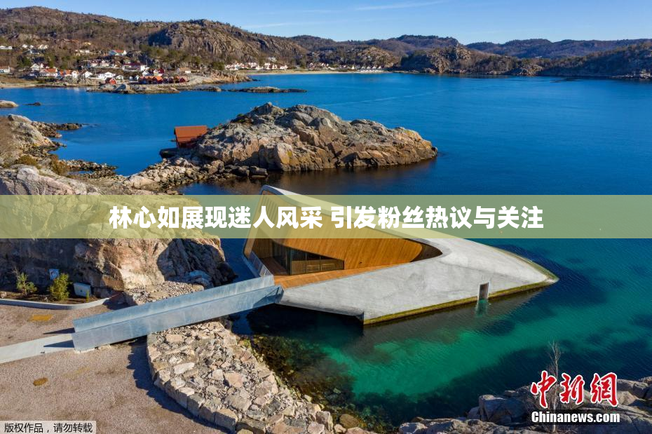 林心如展现迷人风采 引发粉丝热议与关注