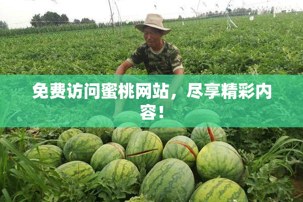 免费访问蜜桃网站，尽享精彩内容！