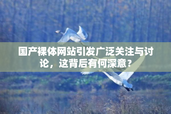国产裸体网站引发广泛关注与讨论，这背后有何深意？