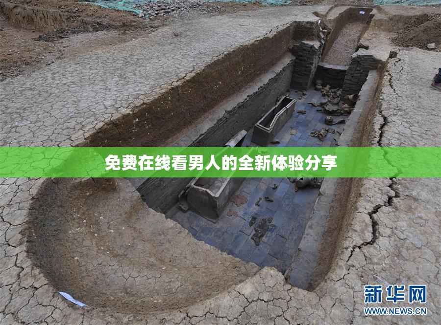 免费在线看男人的全新体验分享