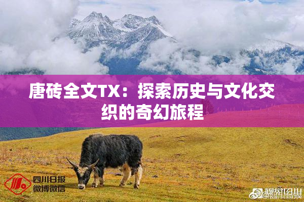唐砖全文TX：探索历史与文化交织的奇幻旅程