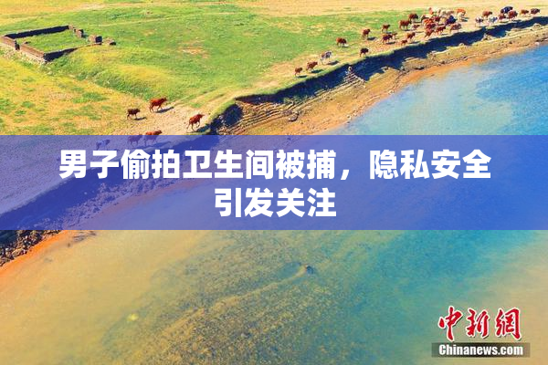 男子偷拍卫生间被捕，隐私安全引发关注