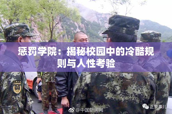 惩罚学院：揭秘校园中的冷酷规则与人性考验