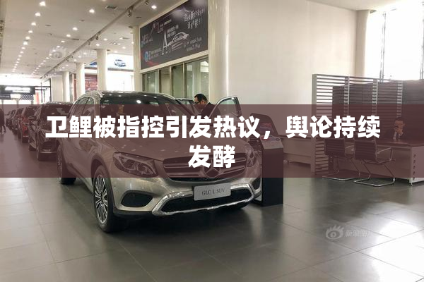 卫鲤被指控引发热议，舆论持续发酵