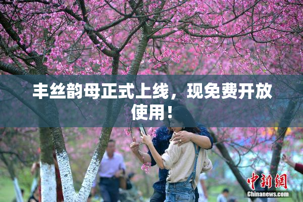 丰丝韵母正式上线，现免费开放使用！