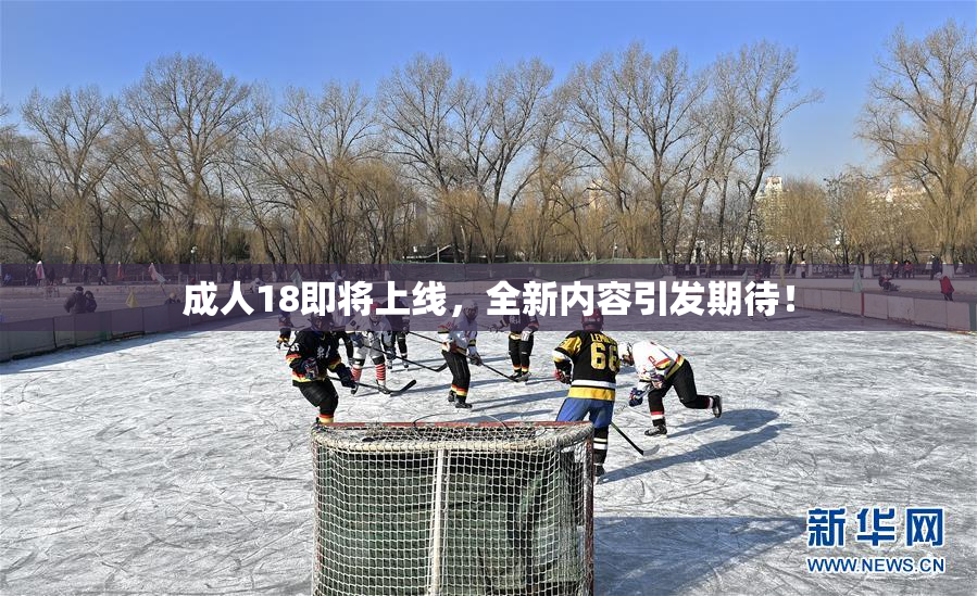 成人18即将上线，全新内容引发期待！