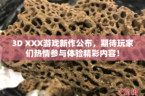 3D XXX游戏新作公布，期待玩家们热情参与体验精彩内容！