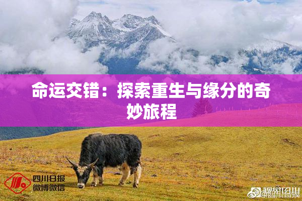 命运交错：探索重生与缘分的奇妙旅程
