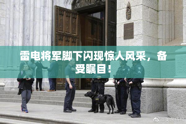 雷电将军脚下闪现惊人风采，备受瞩目！
