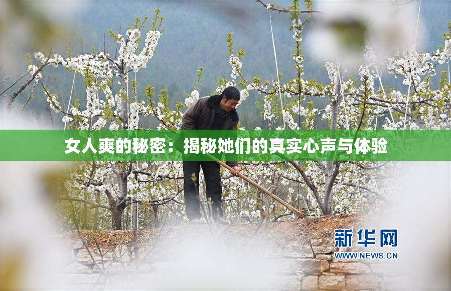 女人爽的秘密：揭秘她们的真实心声与体验