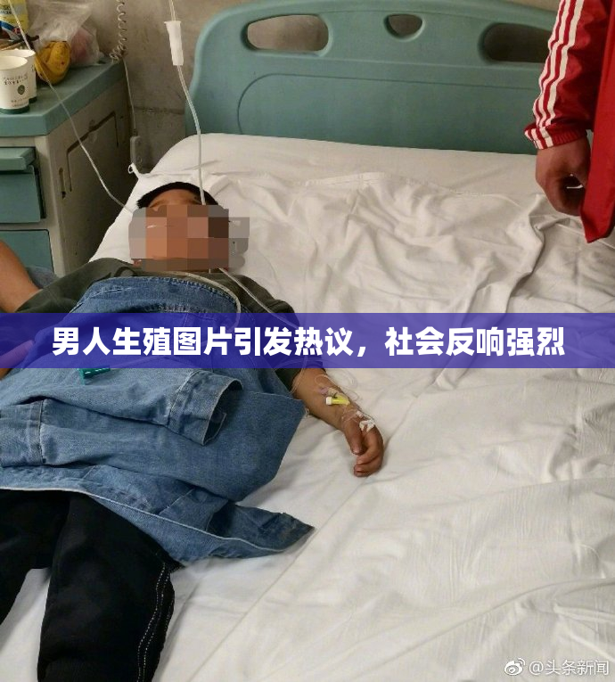 男人生殖图片引发热议，社会反响强烈
