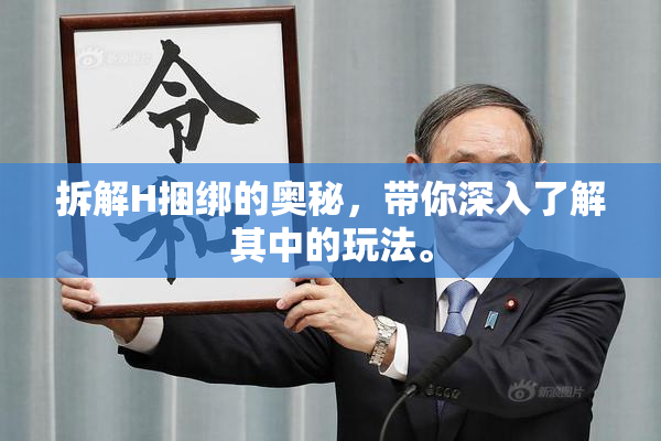 拆解H捆绑的奥秘，带你深入了解其中的玩法。