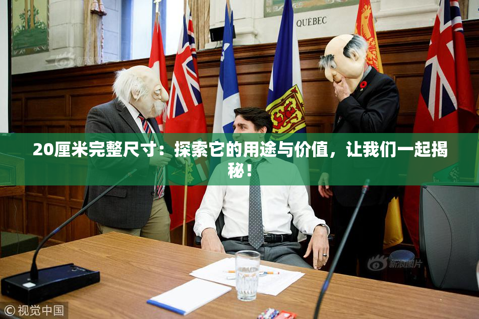 20厘米完整尺寸：探索它的用途与价值，让我们一起揭秘！