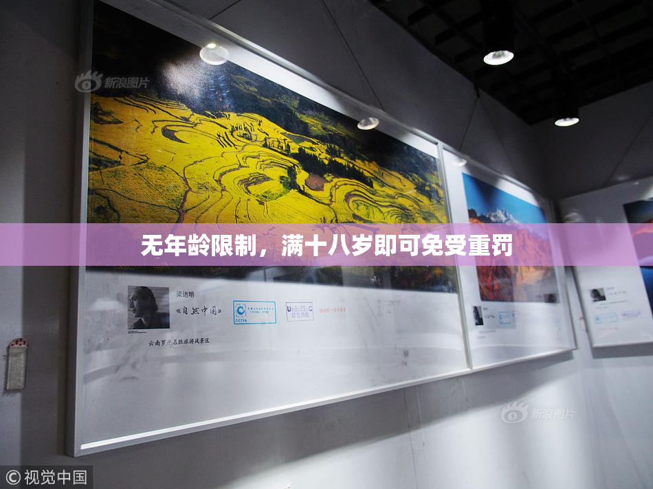 无年龄限制，满十八岁即可免受重罚