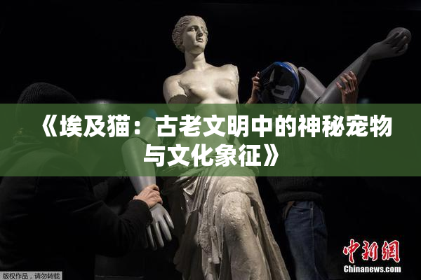 《埃及猫：古老文明中的神秘宠物与文化象征》