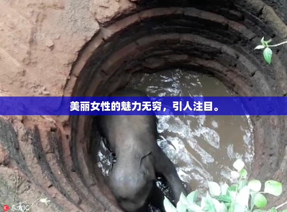 美丽女性的魅力无穷，引人注目。