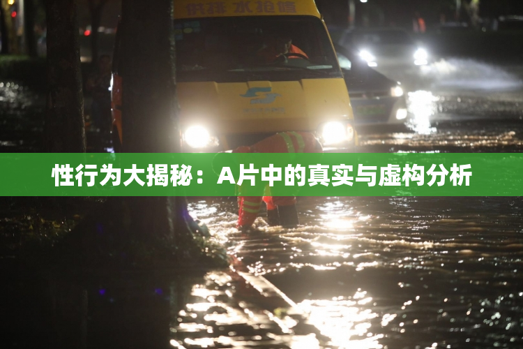 性行为大揭秘：A片中的真实与虚构分析