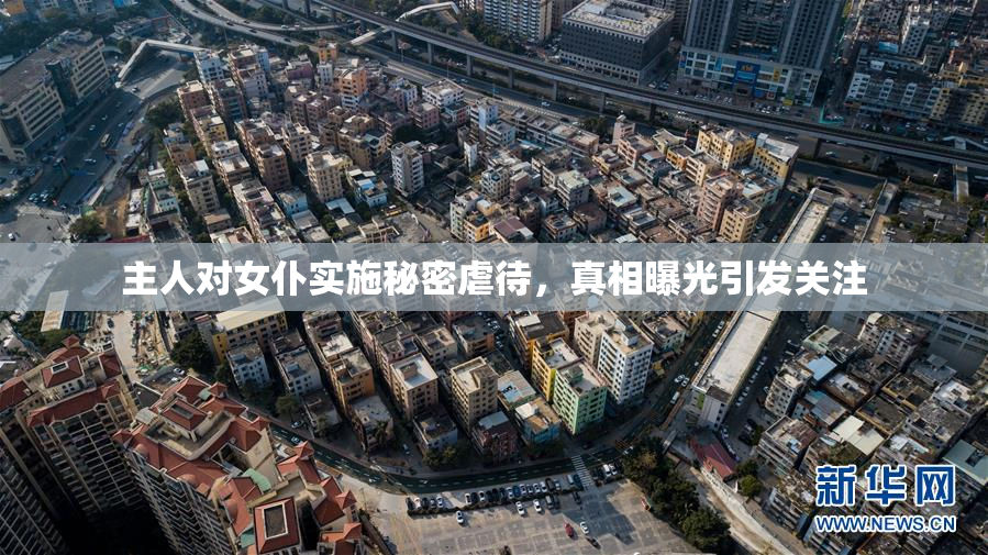 主人对女仆实施秘密虐待，真相曝光引发关注