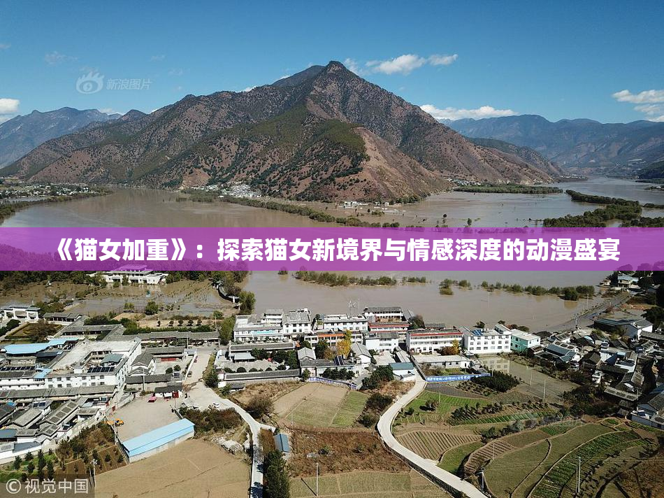 《猫女加重》：探索猫女新境界与情感深度的动漫盛宴
