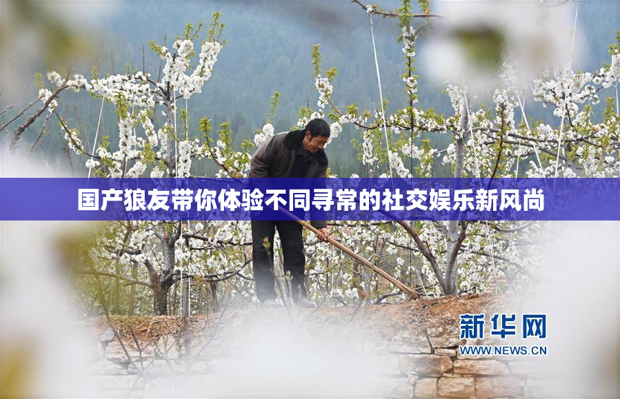 国产狼友带你体验不同寻常的社交娱乐新风尚