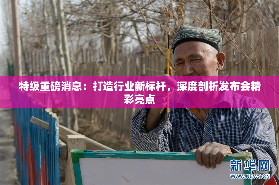 特级重磅消息：打造行业新标杆，深度剖析发布会精彩亮点