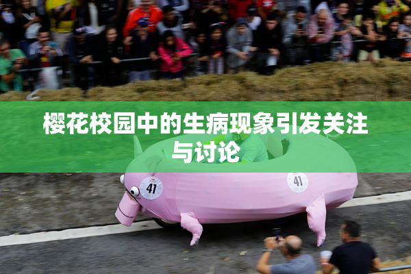 樱花校园中的生病现象引发关注与讨论