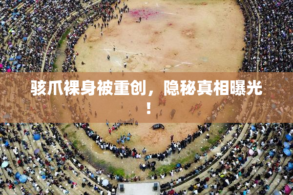 骇爪裸身被重创，隐秘真相曝光！