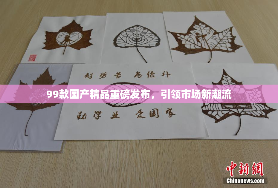 99款国产精品重磅发布，引领市场新潮流