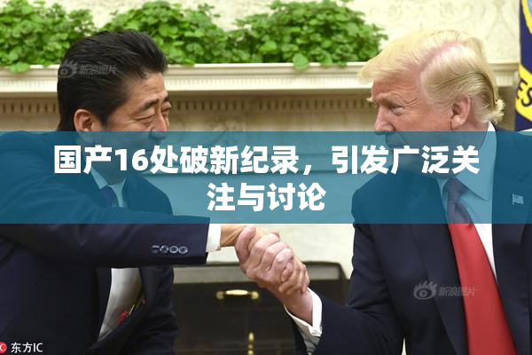 国产16处破新纪录，引发广泛关注与讨论