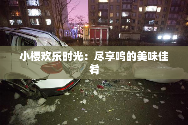 小樱欢乐时光：尽享鸣的美味佳肴