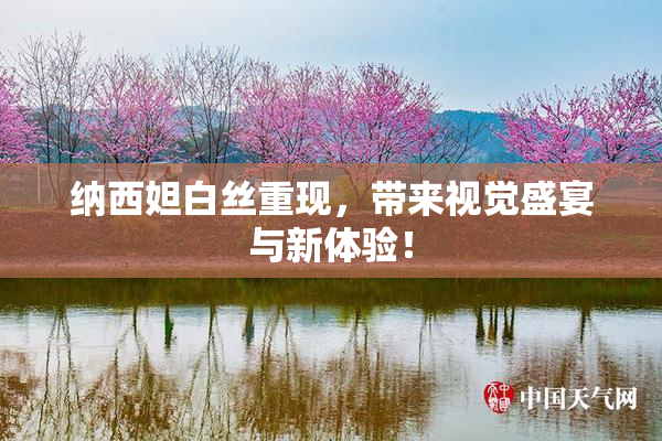 纳西妲白丝重现，带来视觉盛宴与新体验！