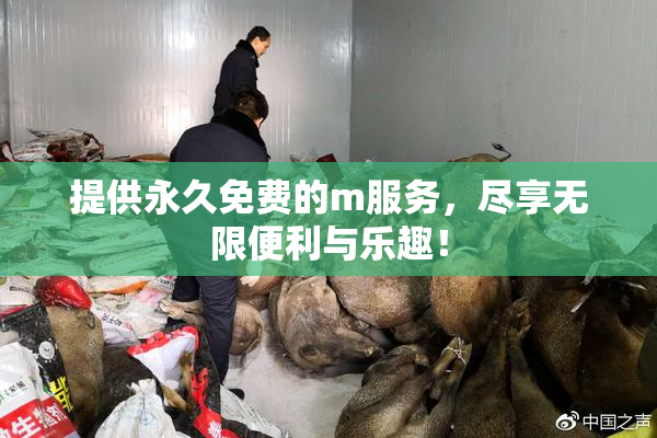 提供永久免费的m服务，尽享无限便利与乐趣！