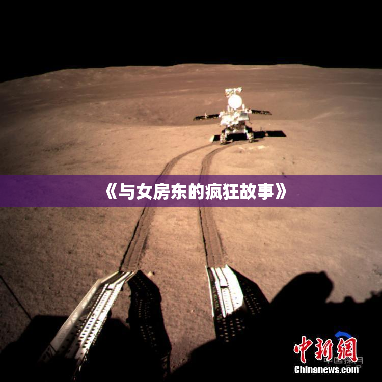 《与女房东的疯狂故事》